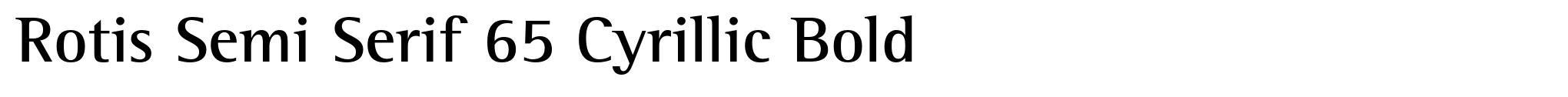 Rotis Semi Serif 65 Cyrillic Bold image